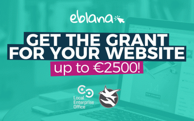 Website Design Grants in Ireland